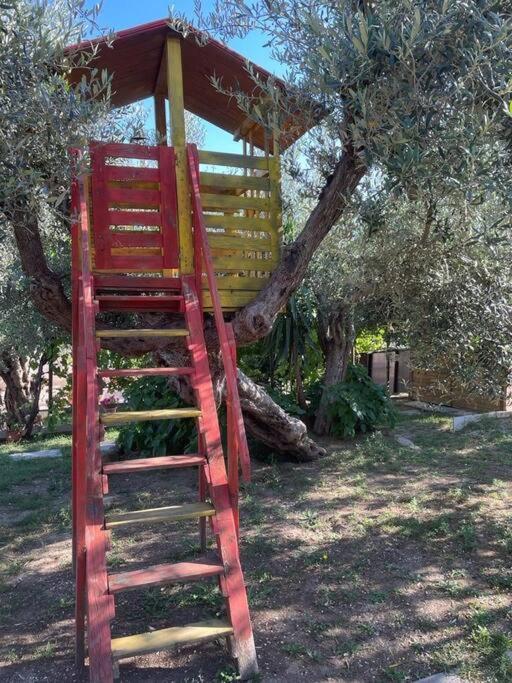 特拉西梅诺湖畔帕西尼亚诺La Dimora Delle Rose公寓 外观 照片